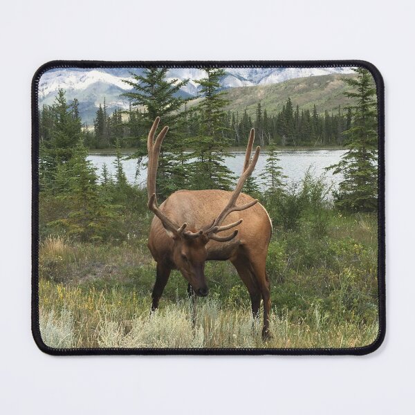 Item preview, Wildlife designed and sold by DaisyMaePrints.