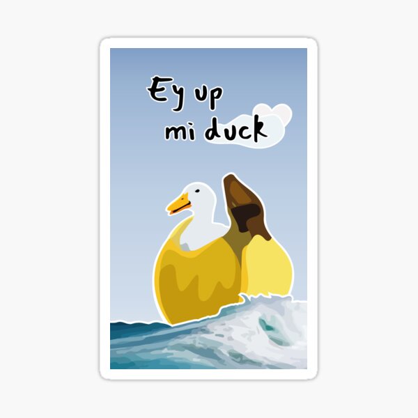 ey-up-mi-duck-slang-saying-cute-illustration-sticker-for-sale-by