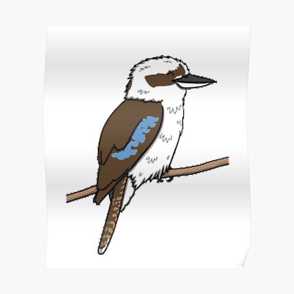 Kookaburra Poster