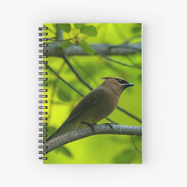 Cedar waxwing Spiral Notebook