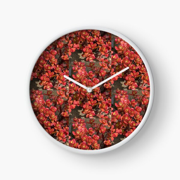 Red Hot Succulent Clock