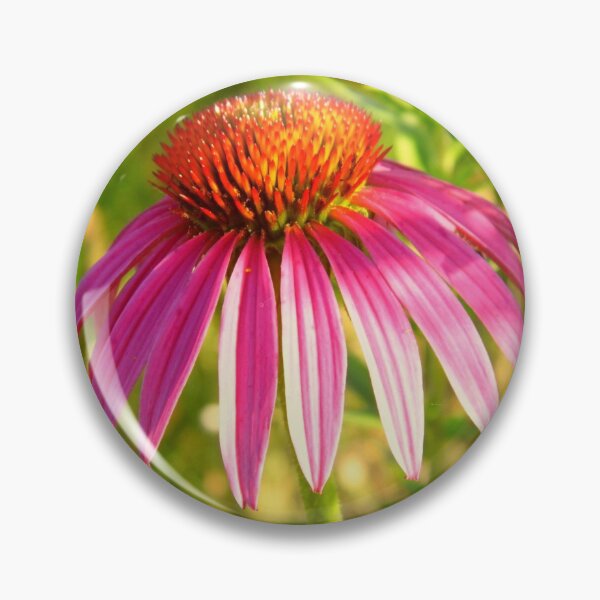 Item preview, Purple Coneflower designed and sold by DaisyMaePrints.