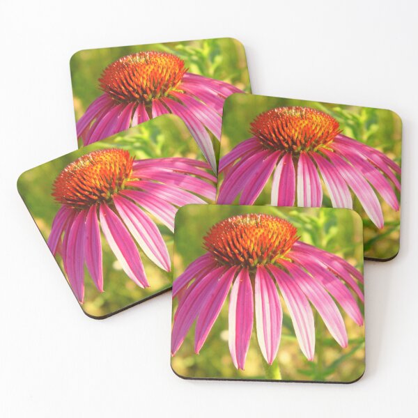 Item preview, Purple Coneflower designed and sold by DaisyMaePrints.