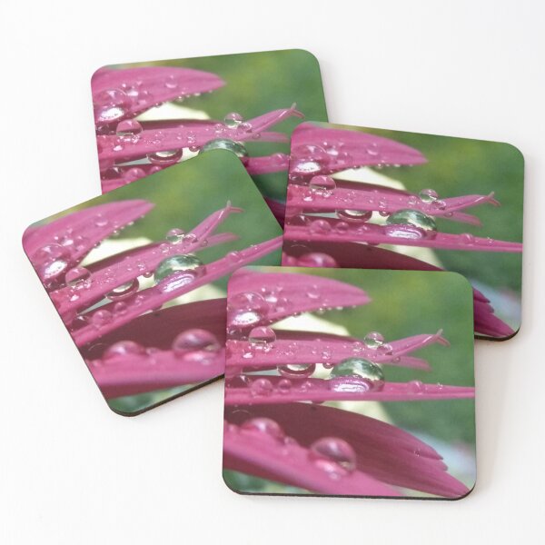 Item preview, Raindrops on Daisy Petals designed and sold by DaisyMaePrints.