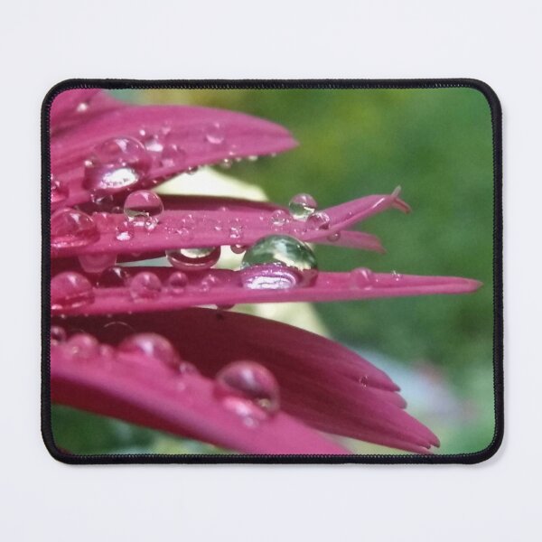 Item preview, Raindrops on Daisy Petals designed and sold by DaisyMaePrints.