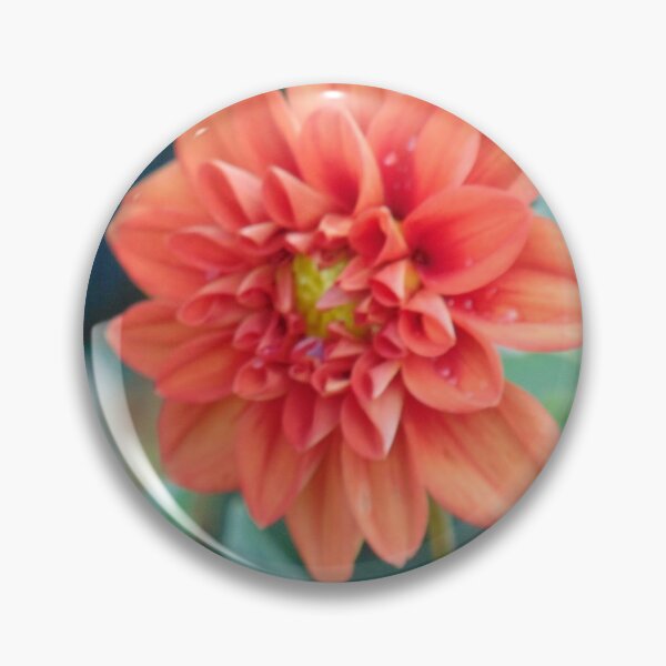Item preview, Garden Mum Perennial Flower Photo  designed and sold by httpproductions.