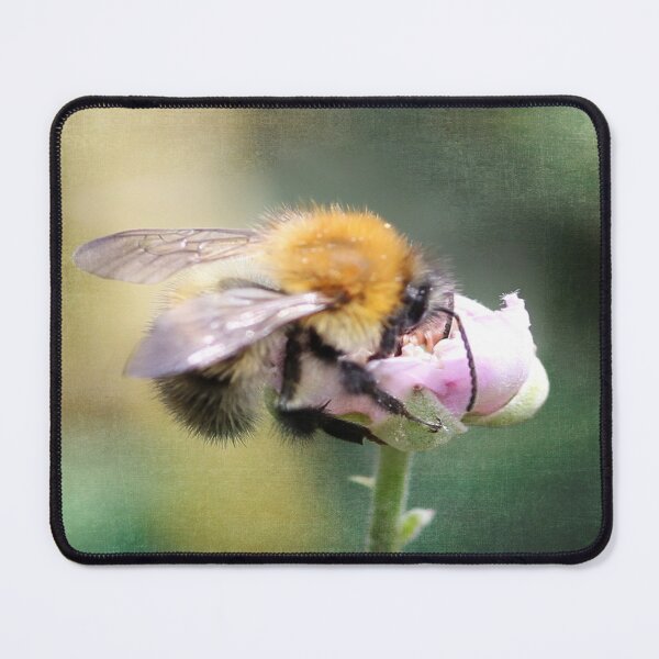 Item preview, Bee Kind to Yourself designed and sold by BenitaJayne.