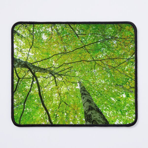 Item preview, Trees reaching for the sky. designed and sold by RolandWidin.