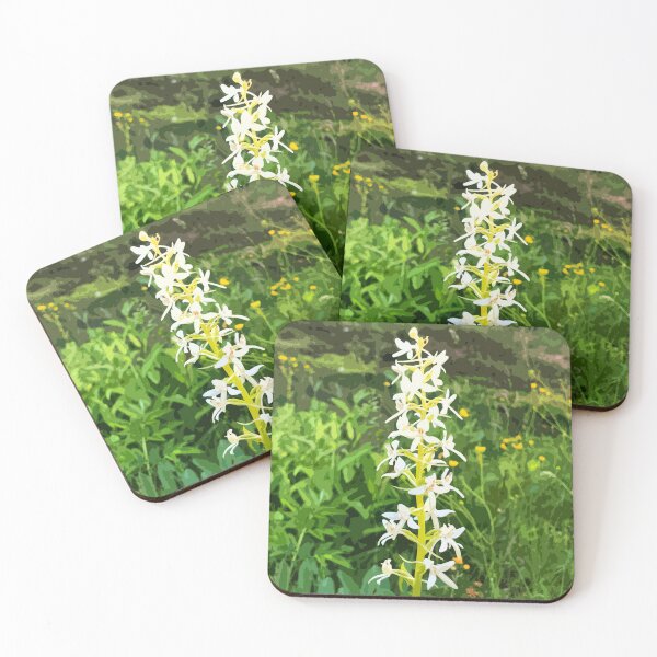 Item preview, white wild orchid designed and sold by Greengardens36.