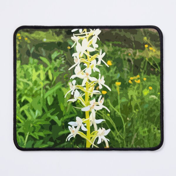 Item preview, white wild orchid designed and sold by Greengardens36.