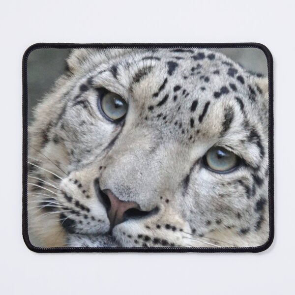 Item preview, The look of the leopard designed and sold by Afternight.