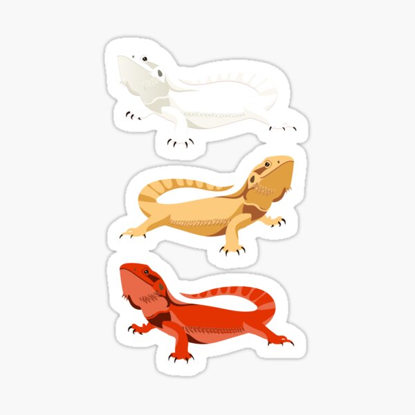 Item preview, Bearded Dragon Stickers Pack designed and sold by aylastyle.