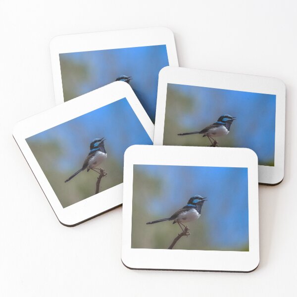 Item preview, Male Superb Fairy Wren Singing designed and sold by HelenGibbs.