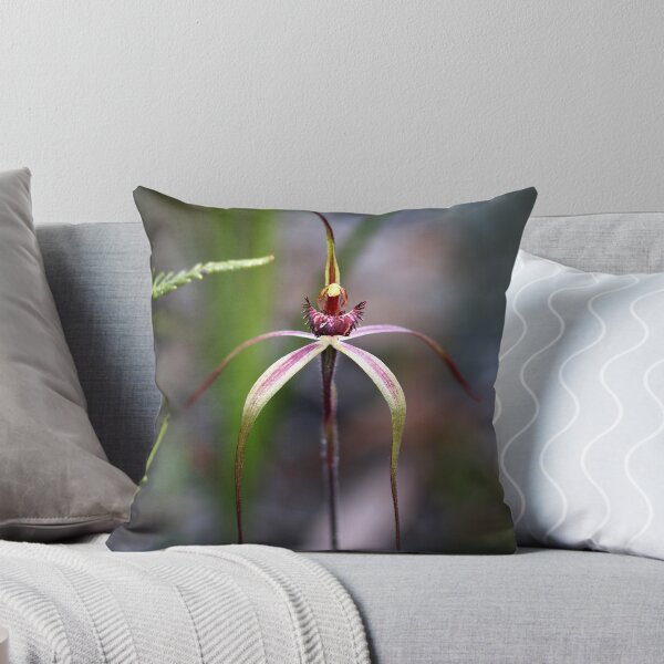 Item preview, Tailed Spider Orchid designed and sold by Keren Smithies.