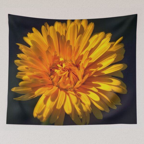 Item preview, Calendula officinalis designed and sold by Thymely.