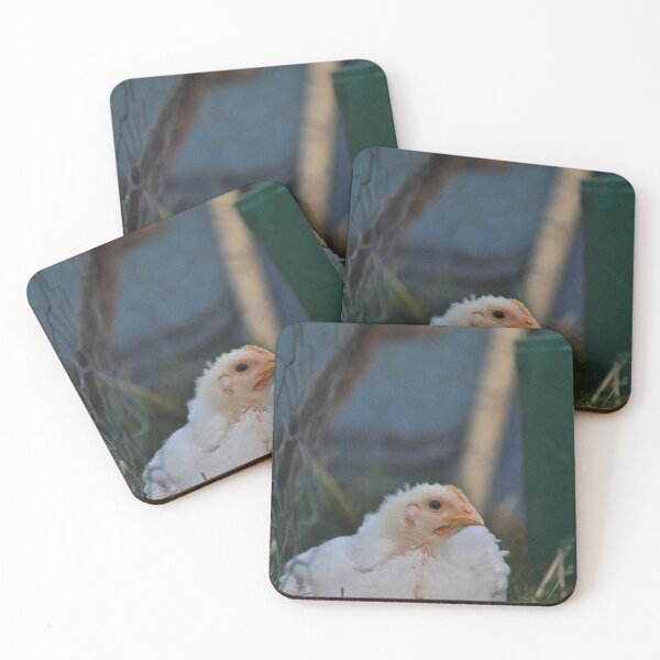 Item preview, Curious Chicken designed and sold by Veseclicks.