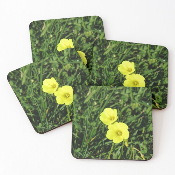 Item preview, Bermuda buttercup designed and sold by greentiger1.