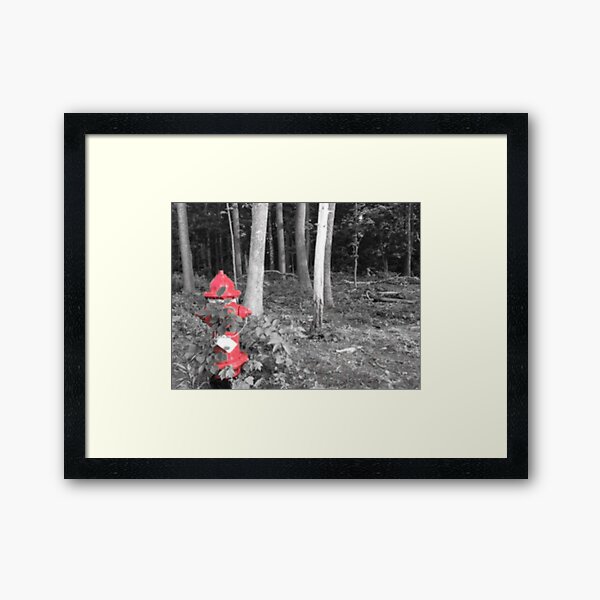 Item preview, Hydrant in Woods designed and sold by withEphoto.