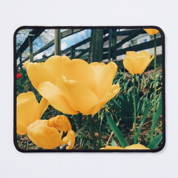 Item preview, Sunshine Tulips designed and sold by Wildwood Flower Photography Co. by Tamara Black.