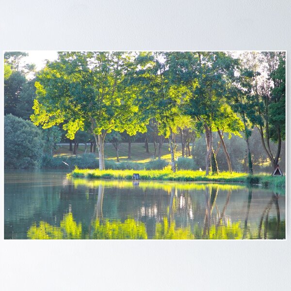 Item preview, The Quiet Pond - Royan, France. designed and sold by Tiffany Lenoir.