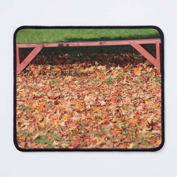 Item preview, Autumn Bench designed and sold by Autumn Seas Photography.