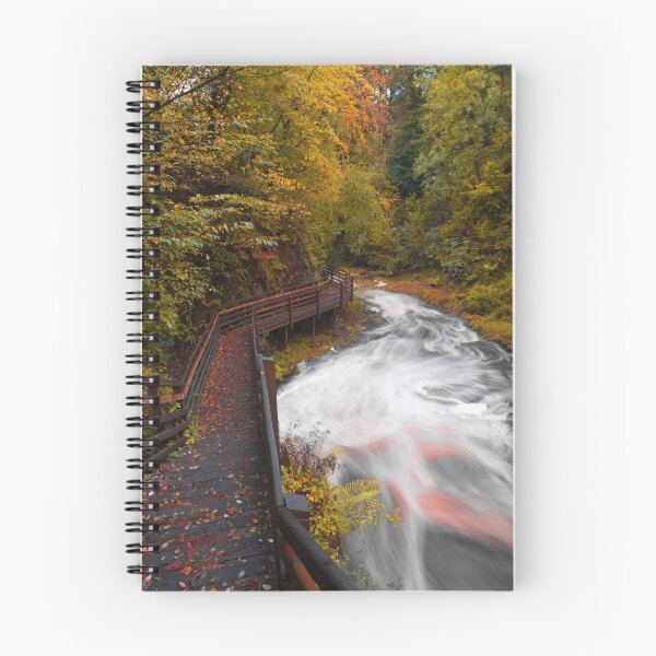 Item preview, Glenariff Forest Park / County Antrim / Northern Ireland designed and sold by Zdrojewski.