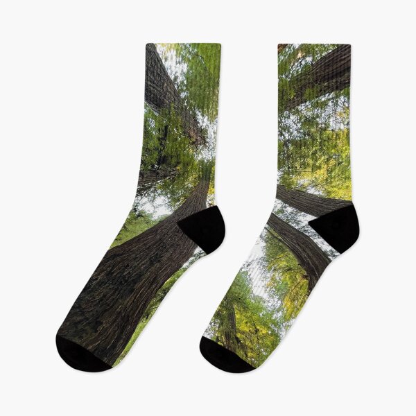 Item preview, California Redwoods designed and sold by MiddleJourney.