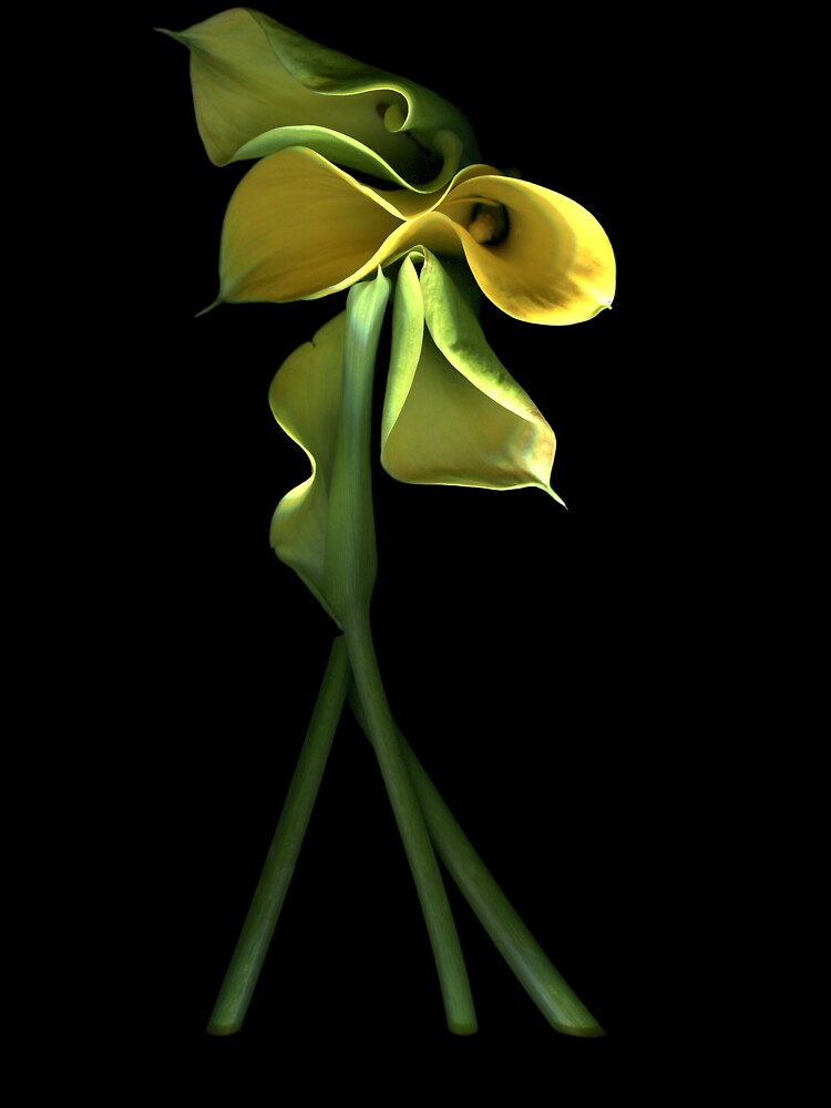 Thumbnail 7 of 7, Oversized T-Shirt, Calla Lily Dark Floral designed and sold by LindasPhotoArt.