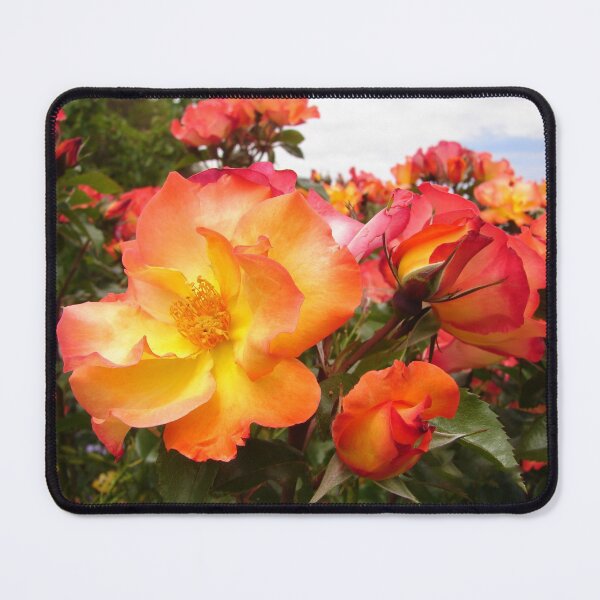 Item preview, Red Yellow Orange Roses designed and sold by Sarah  Rajkotwala.