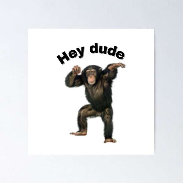 Funny Monkey Ape Chimp Memes with Funny Sayings Poster