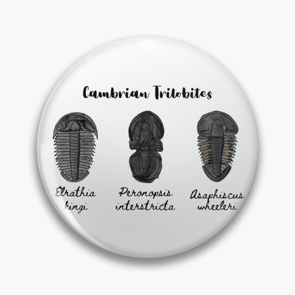 Item preview, Cambrian Trilobites designed and sold by BeaserHive.