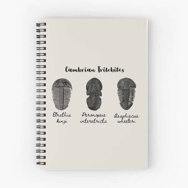 Item preview, Cambrian Trilobites designed and sold by BeaserHive.