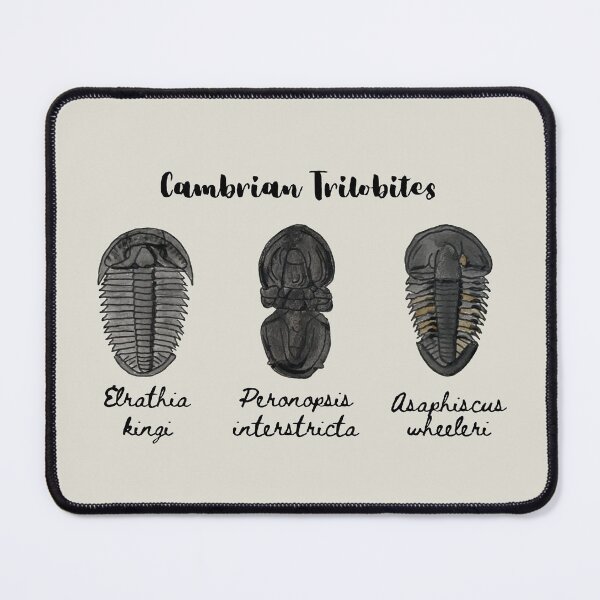 Item preview, Cambrian Trilobites designed and sold by BeaserHive.