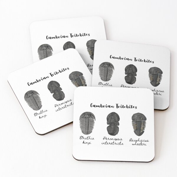 Item preview, Cambrian Trilobites designed and sold by BeaserHive.