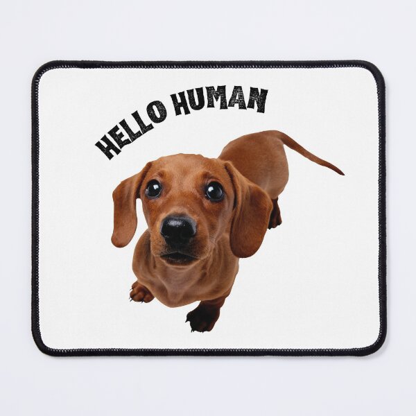 Item preview, hello human designed and sold by Alysoniltd.