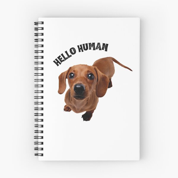 Item preview, hello human designed and sold by Alysoniltd.