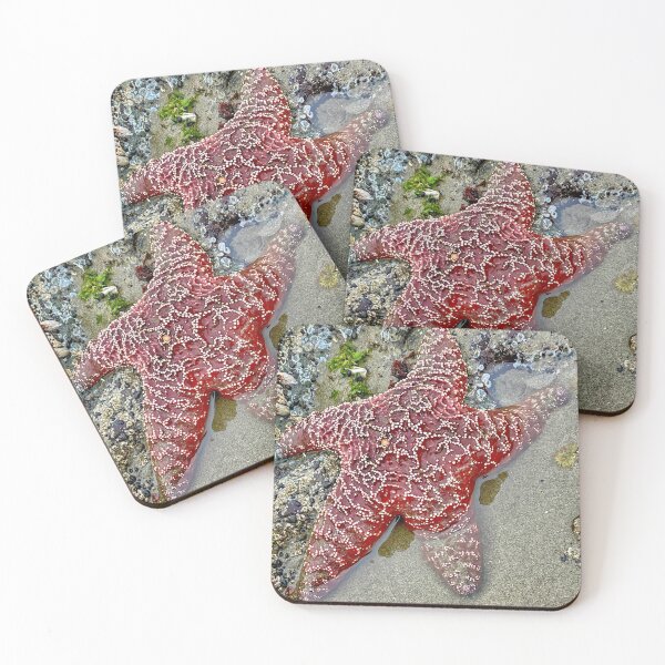 Item preview, Oregon Starfish designed and sold by MiddleJourney.