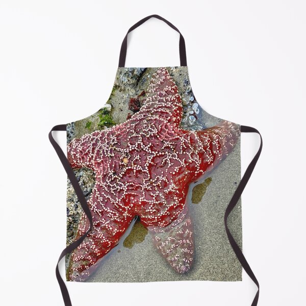 Item preview, Oregon Starfish designed and sold by MiddleJourney.