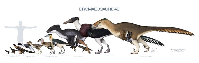 dromaeosaurus jurassic world evolution
