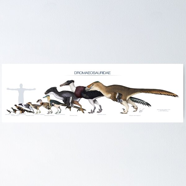 Popular Dinosaurs Watercolor Poster - Institute for Creation Research