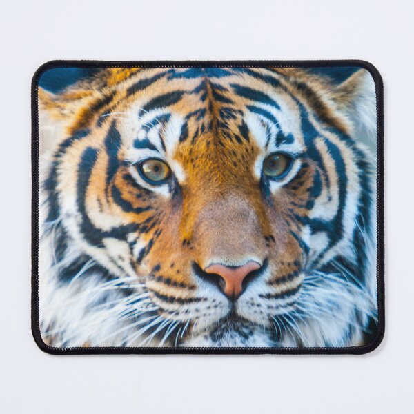 Item preview, Tiger Stare designed and sold by srgreen.
