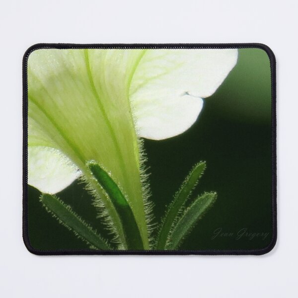 Item preview, Heavenly White designed and sold by Jean Gregory Evans.