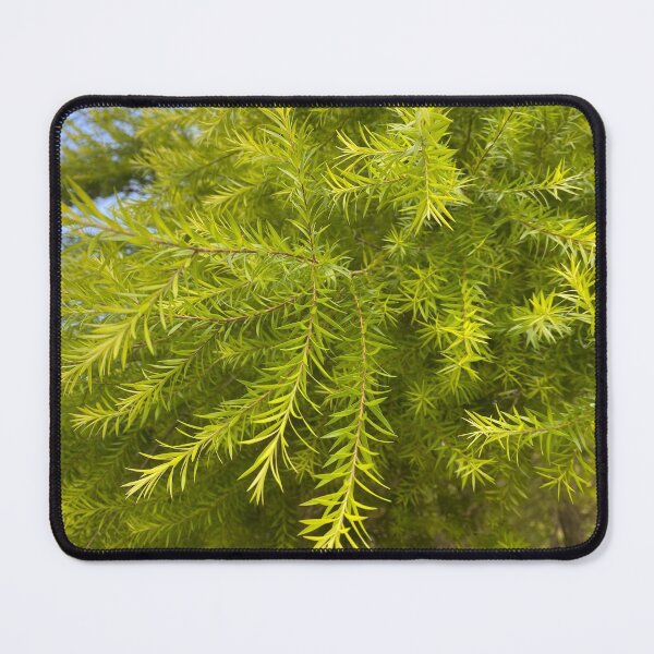 Item preview, Japanese Cedar Tree Leaves designed and sold by Sinemathk.