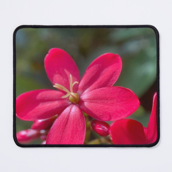 Item preview, Red Peregrina Flower designed and sold by Sinemathk.