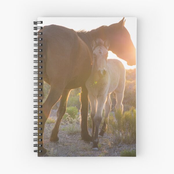 Item preview, 9 - Last Wild Horses in Nevada designed and sold by photo702.