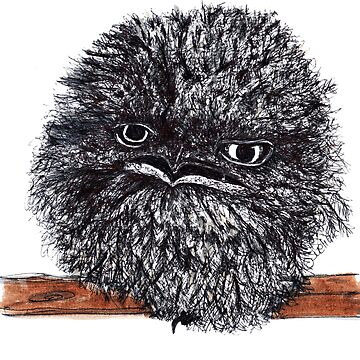 Artwork thumbnail, Rocky the Tawny Frogmouth by Wildcard-Sue