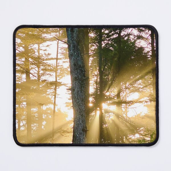 Item preview, Sunburst designed and sold by smw24.