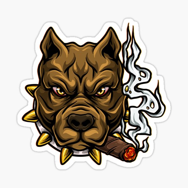 pitbull smoker