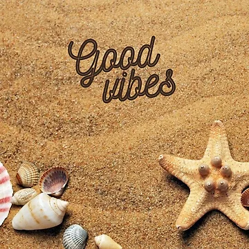 Artwork thumbnail, Sea shells by FancyPlus