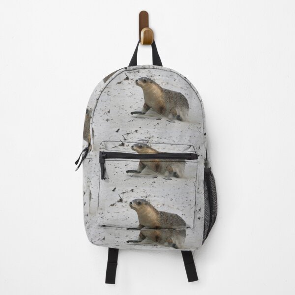 Item preview, Seal pup running on the beach on Kangaroo Island in South Australia designed and sold by Geoff Wols.